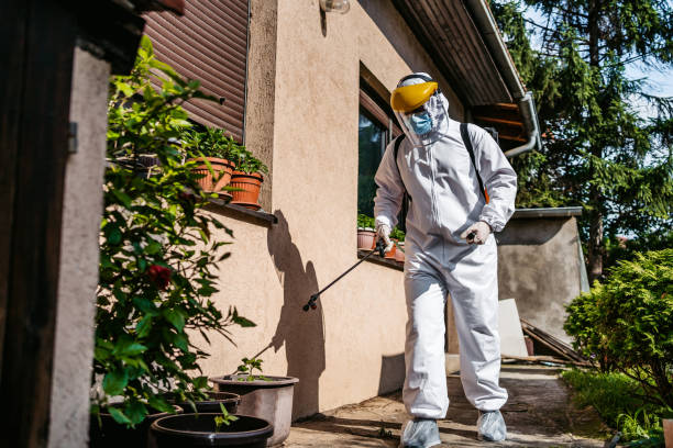 Best Pest Removal Services  in Brownsboro, TX