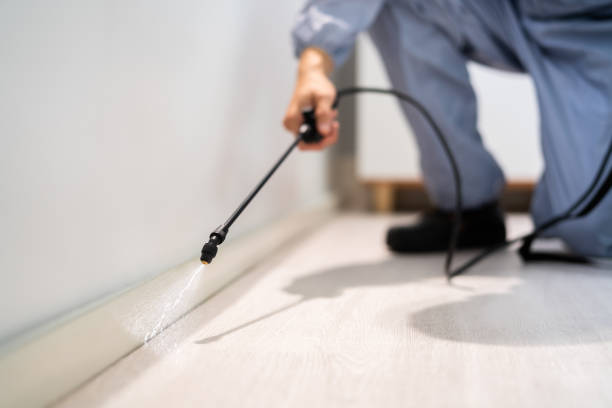 Best Pest Prevention Services  in Brownsboro, TX