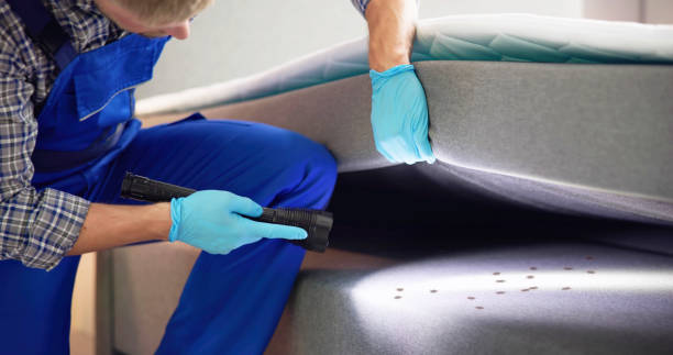 Best Bed Bug Extermination  in Brownsboro, TX