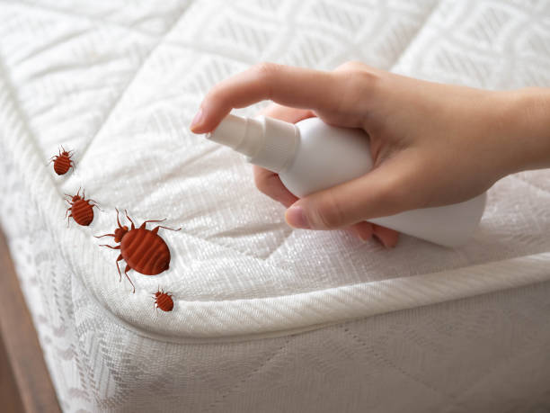 Best Pest Removal Services  in Brownsboro, TX