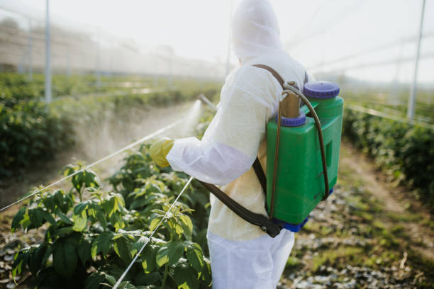 Best Local Pest Control Services  in Brownsboro, TX